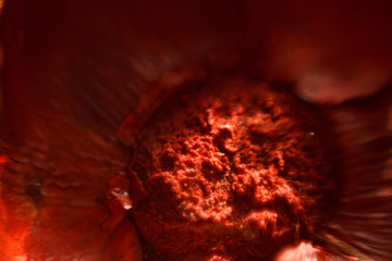 abstract photo of red color with macro fibers