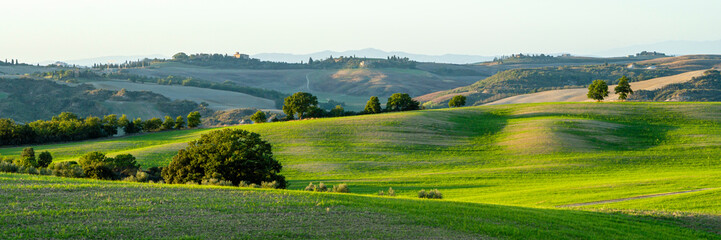 Beautiful landscape in Tuscany - wave hills covered green grass. Tuscany, Italy, Europe.
