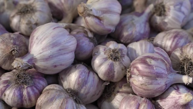 fresh garlic in the market