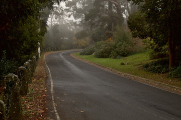 Fototapeta na wymiar Niebla en el camino del parque