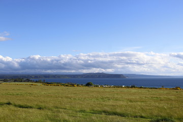 Fototapeta premium Taupo lake, New Zealand, North Island