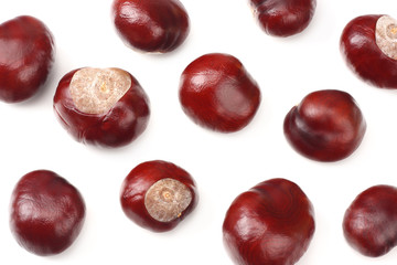chestnuts isolated on white background. top view