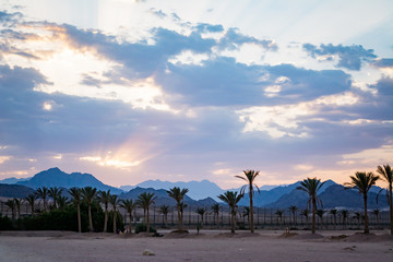 sunset in desert