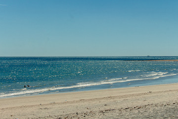 beach and sea