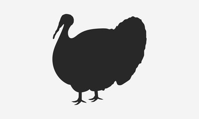 Turkey silhouette isolated on white background. Turkey icon. Vector illustration