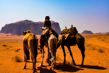 Fototapeta premium Wadi Rum desert in Jordan