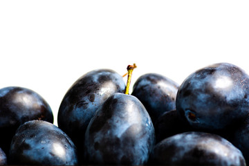 Fresh plums isolated on white background