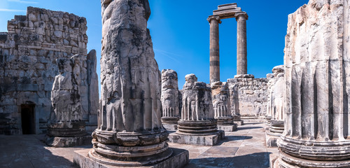 Ruins of Apollo Temple in Didim, Aydin Town, Turkey. The other name of this place is Didyma Ancient City - obrazy, fototapety, plakaty