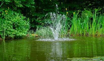 Cascade fountain on emerald surface of old pond against background of greenery of shady garden. Summer landscape, fresh wallpaper and nature background concept. Freshness and coolness on sunny day
