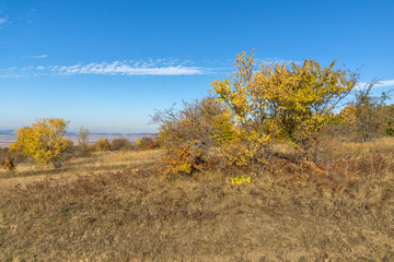 Fototapeta premium Autumn panorama of Cherna Gora mountain, Bulgaria
