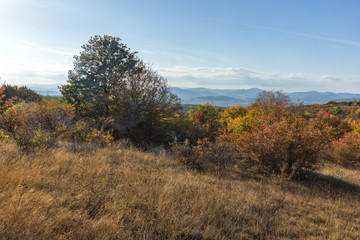 Obraz na płótnie Canvas Autumn panorama of Cherna Gora mountain, Bulgaria