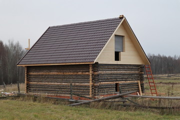 Fototapeta premium house