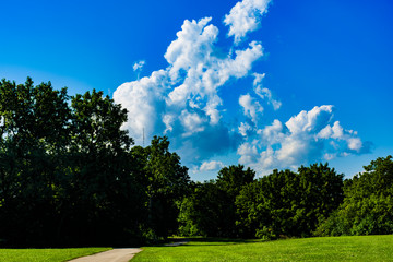 giant clouds in blue sky overlooking path and trees