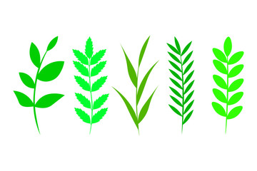 Set of green leaves, herbs, isolated vector illustration.