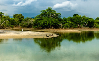 Fototapeta premium landscape with lake and trees