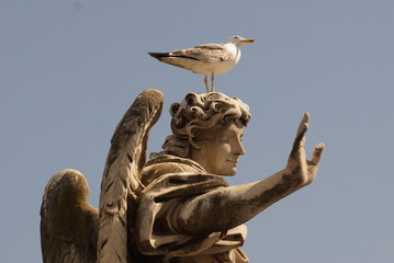 M&ouml;we auf Statue 