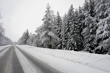 Beautiful winter landscape with snow-covered trees and road in Latvia.