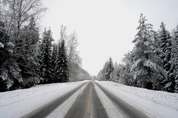Fototapeta na wymiar Beautiful winter landscape with snow-covered trees and road in Latvia.