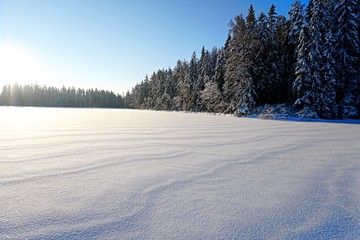 Trees covered with snow on frosty morning and blue sky. Beautiful winter panorama on lake Asaru in...