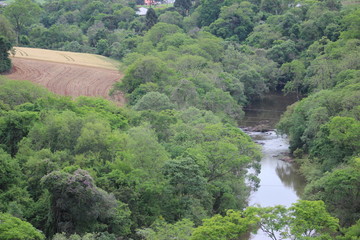 Fototapeta na wymiar river in the plantations