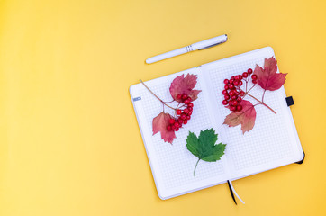 Ripe red viburnum berries with red foliage on a white notebook, near a white pen with space for...