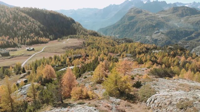 Amazing aerial view of the Valmalenco Alps on a sunny autumn day with yellow pines below and high mountain peaks behind. 4k