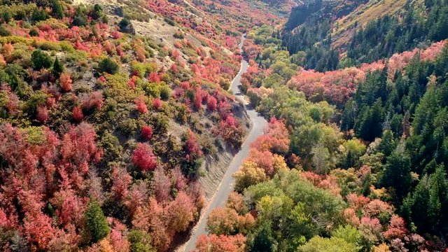 Country road winding through colorful forest during Fall moving up Santaquin Canyon in Utah.
