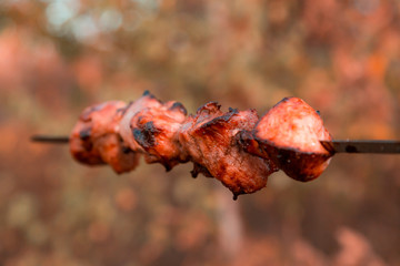 Close-up Shish kebab on skewers on blured nature background