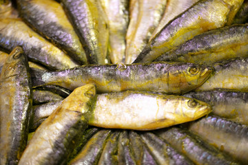saldina
