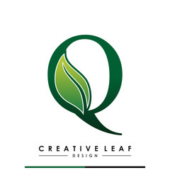 Initial Letter Q With Leaf Luxury Logo. Green leaf logo Template vector Design.