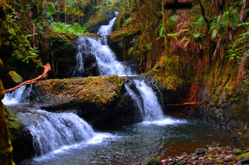 Botanical Garden and Unama Falls
