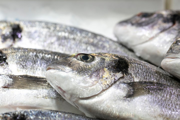 mercado