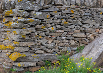 Ancient wall with colorful mosses background. Old construction made of natural rock stones with...