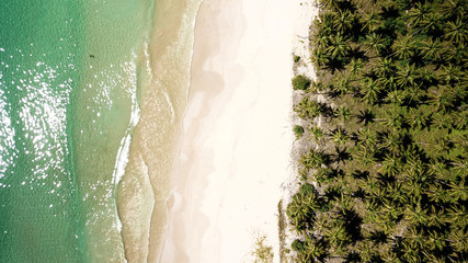 Bird's eye View of the beautiful Nacpan Beach in El Nido, Palawan, Philippines. Palms, beach. ocean.