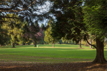 Golf course