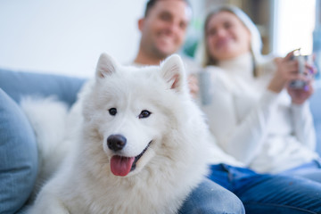 Young beautiful couple with dog sitting on the sofa drinking coffee at new home around cardboard...