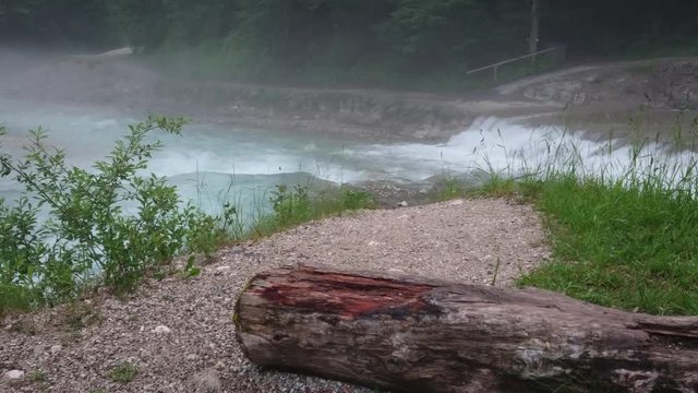 Water stream in foggy forest with piece of wood on foreground.