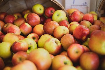 Fototapeta na wymiar apples on display at the market