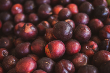 fresh plums on display at the market