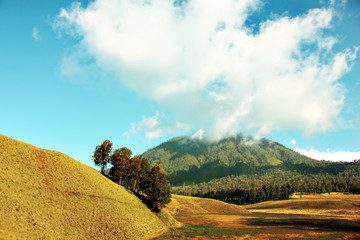 Fototapeta premium Semeru Mountain