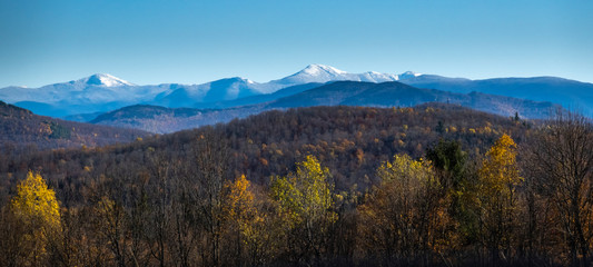 Fall colours on a sunny day