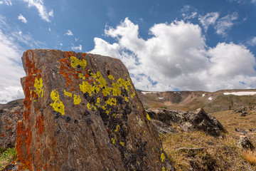 A rock covered with colorful orange, yellow and black lichen at the top of the Rocky Mountains. 