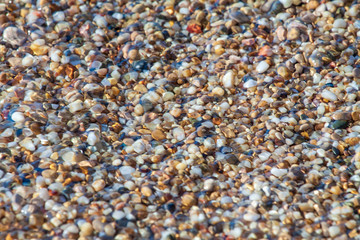 sea pebbles colored granite on the beach