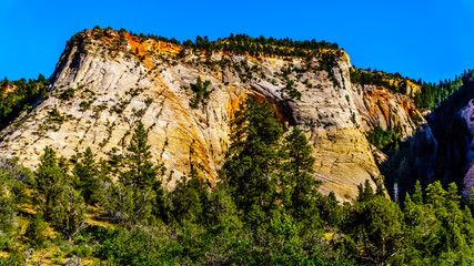 The white peaks of the sandstone Mountains and Mesas along the Zion-Mt.Carmel Highway on the East Rim of Zion National Park in Utah, United States