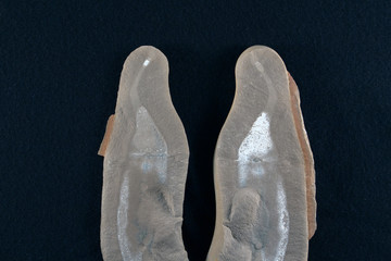 A Tully Monster, the state fossil of Illinois. A Mazon Creek concretion split open revealing the...