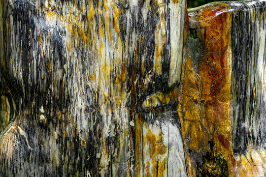 Wood Fossil Usually Used as Raw Material in Various Traditional Handcraft. Semi Precious Stone Texture and Background