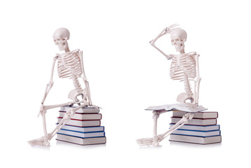 Skeleton reading books on white