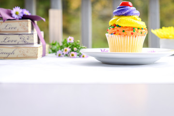Colorful cupcake on a table before a party