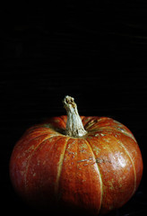 pumpkin on a dark background. copy space.