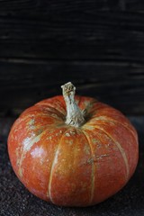 pumpkin on a dark background. copy space.